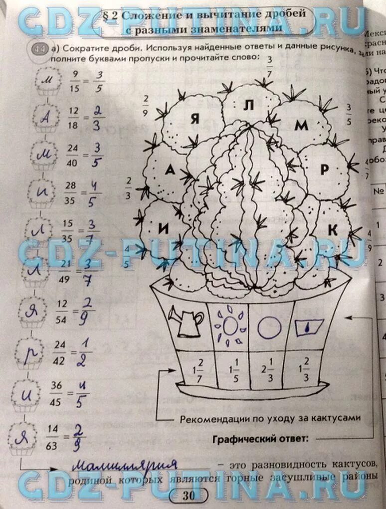 Математика 6 класс рабочая тетрадь 2. Сократите дробь используя найденные ответы и данные рисунка. Сократите дроби используя найденные ответы и данные рисунка Кактус. Сократите дроби и заполните пропуски. Гдз по матике 6 класс рабочая тетрадь.