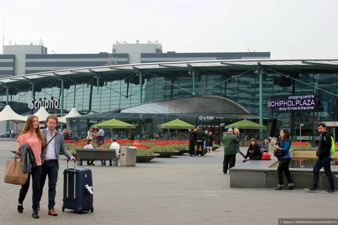 Schiphol Plaza. Нидерланды Airport ver. Служба аэропорта Нидерланды Амстердам фото машин.