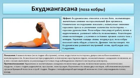Относящиеся к позам