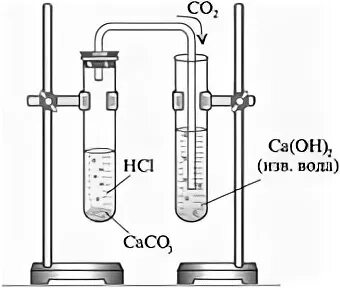 Пробирка с газоотводной трубкой. Аппарат для получения газов. Пробирка с газоотводной трубкой для сбора газов. Две пробирки с дистиллированной водой. Мрамор соляная кислота известковая вода