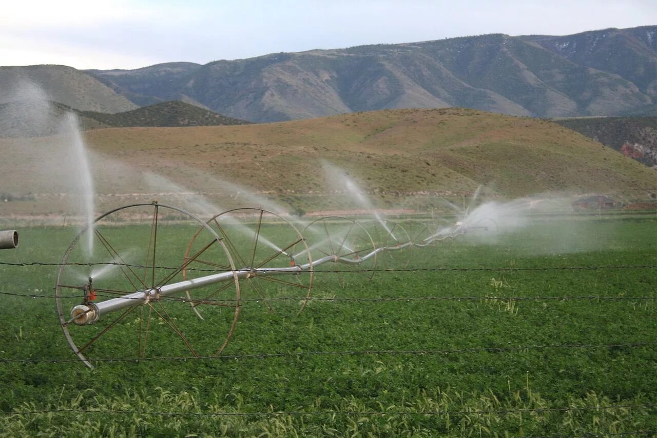 Решающее поле. Орошение полей в крыму. field irrigation. орошенная водой местность поля орошены. 1 ga irrigation field.