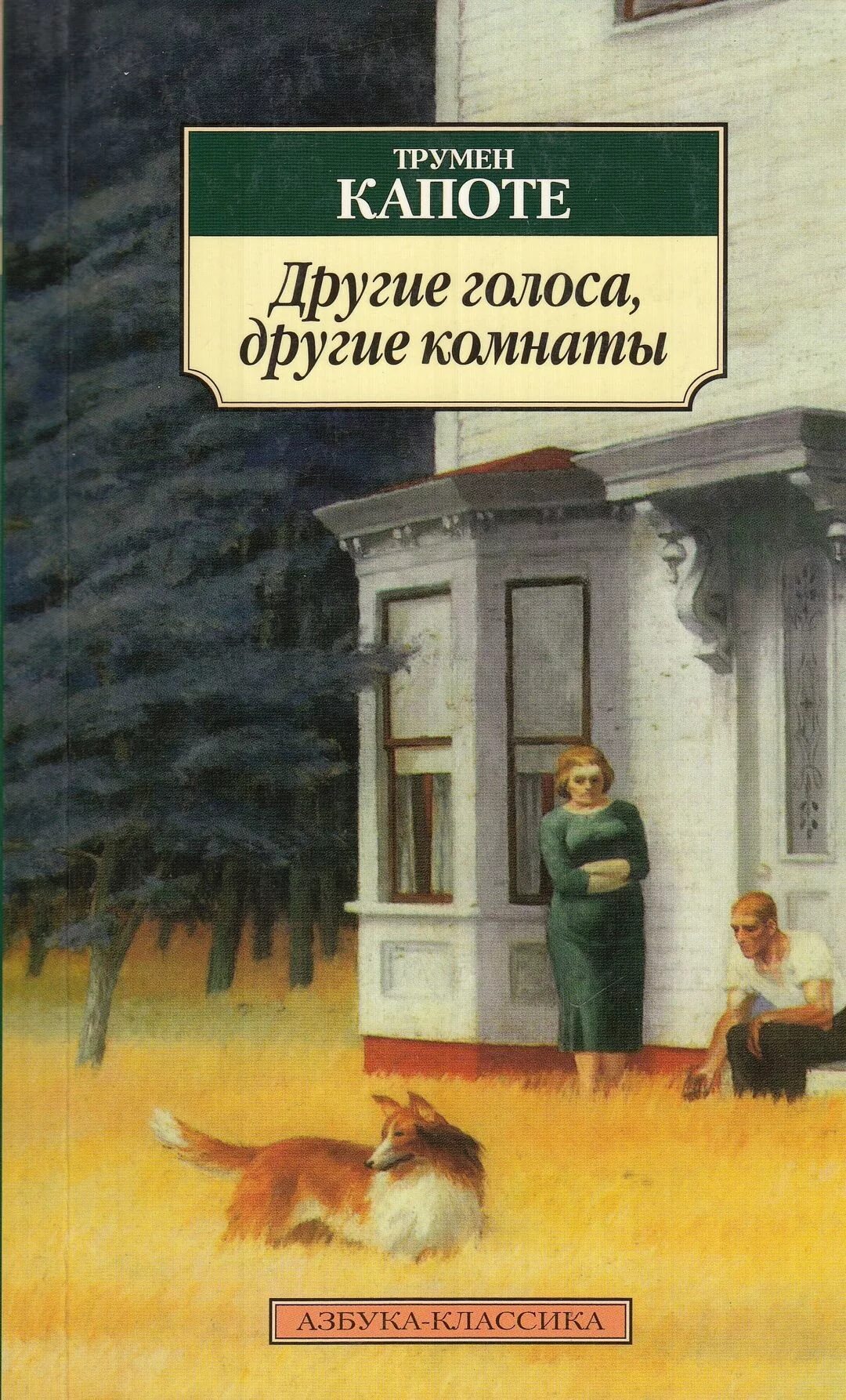 Другой голосовой. Трумен капоте другие голоса другие комнаты. Другие голоса другие комнаты. Другие голоса другие комнаты книга. Трумен капоте книги другие голоса.