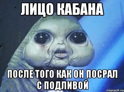 Кабан мем