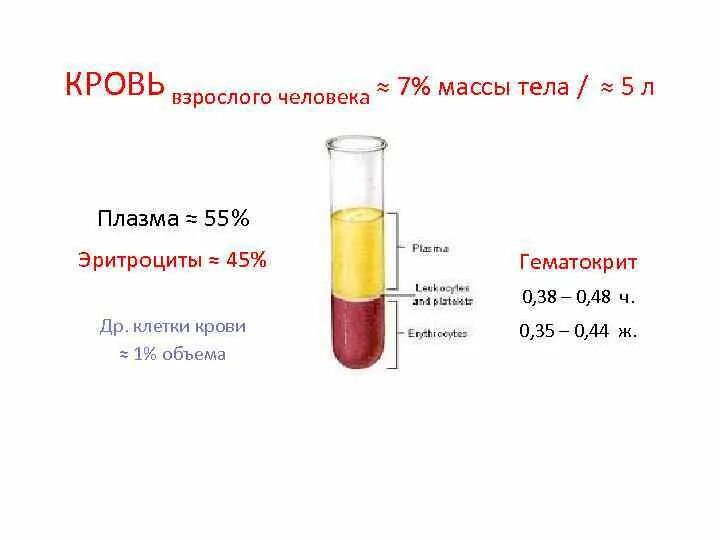 Гематокрит расчетная формула. Норма гематокрита в крови у человека. Гематокрит анемия. Гематокрит л/л.