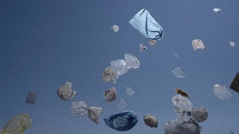 Полетели пакет