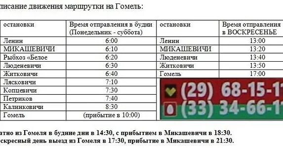 Расписание маршруток калинковичи. Маршрутка Гомель Житковичи. Маршрутка Гомель Житковичи расписание. Расписание маршрутки Минск- Микашевичи. Маршрутка Петриков Гомель.