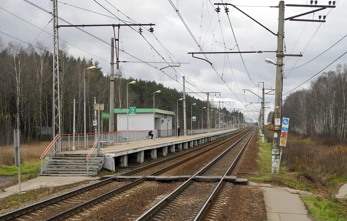 Электрички малые вяземы москва