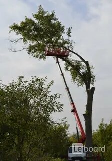 Валки опасных деревьев