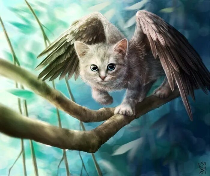 Крылатые кошки. Котенок с крыльями. Фэнтези кошки. Волшебные кошки. Сказочные кошечки