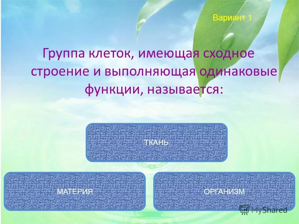 Группа клеток организма выполняющих