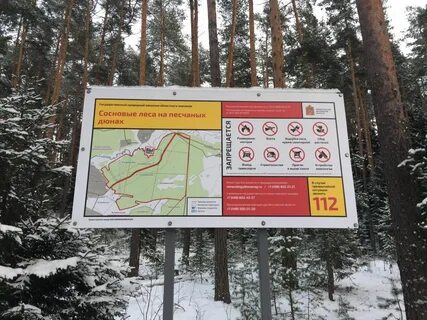 Савеловская морозки расписание на сегодня
