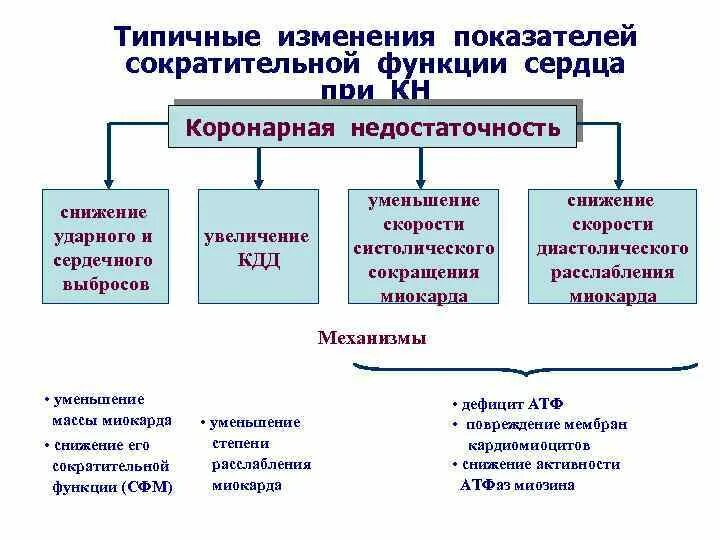 Изменение типовой формы. Изменения показателей функции сердца при коронарной недостаточности. Изменение функций сердца при коронарной недостаточности. Показатели нарушения сократительной функции сердца. Изменение показателей функции сердца при коронарной.