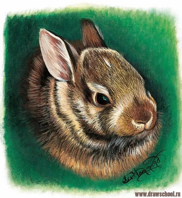 заяц цветными карандашами. рисуем разноцветного зайца. зайчик цветными карандашами. заяц рисунок карандашом цветной. кролик цветными карандашами.