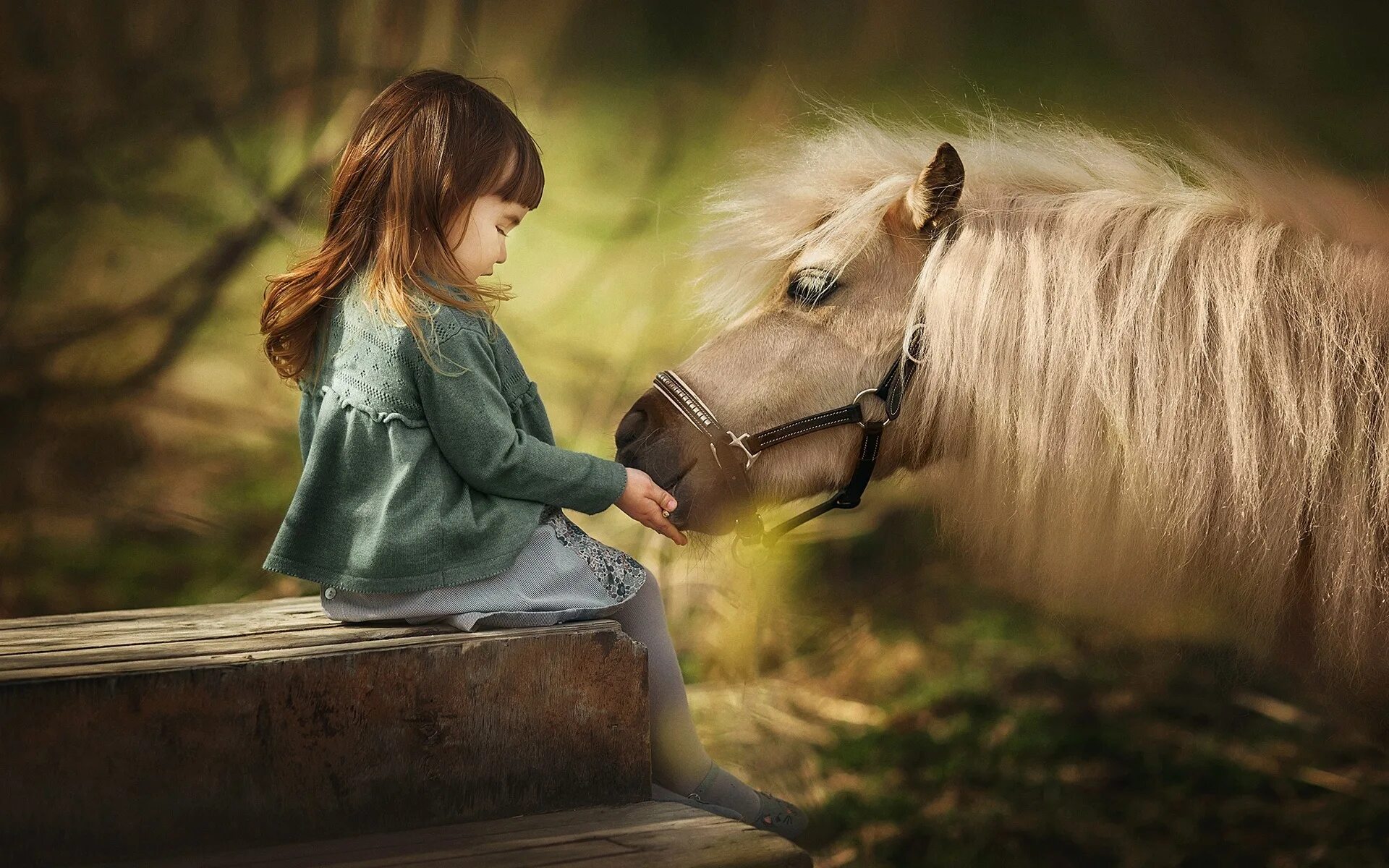 Девочка с лошадкой. Девочка на лошади. Детская фотосессия с лошадьми. Детская фотосессия с лошадкой. Девочка и конь.