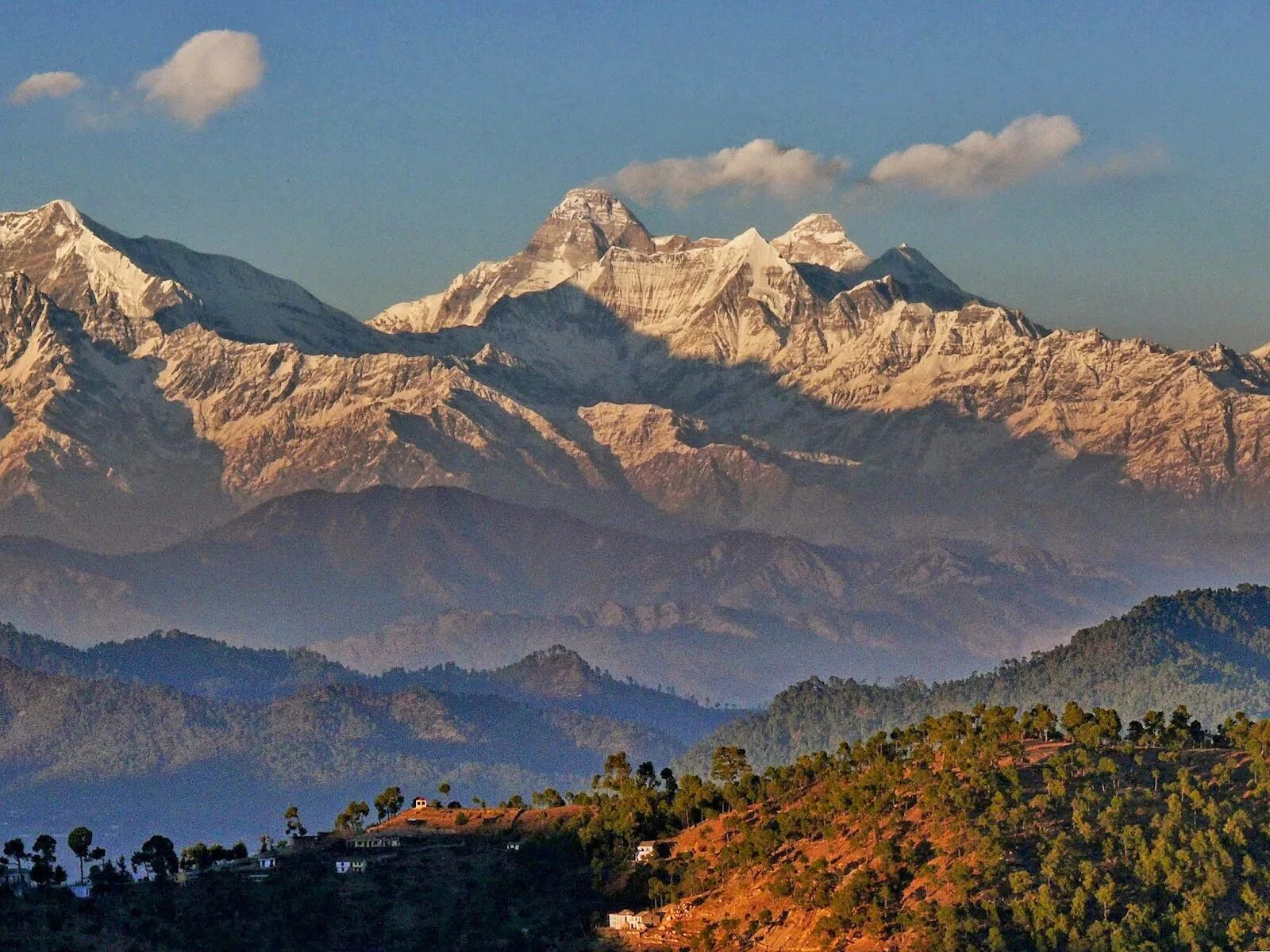 Цвет гималаи. Нанда Деви национальный парк. Гималаи Нанда Деви. Индия Долина Нанда Деви. Индия Гималаи Нанда Деви Долина цветов.
