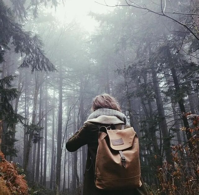 И жизнь абсолютно все
