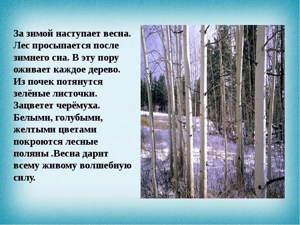 Текст в лес пришла зима. Лес просыпается после зимнего сна. Лес просыпается после сна. В эту пору.