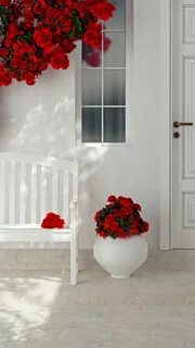 Door roses