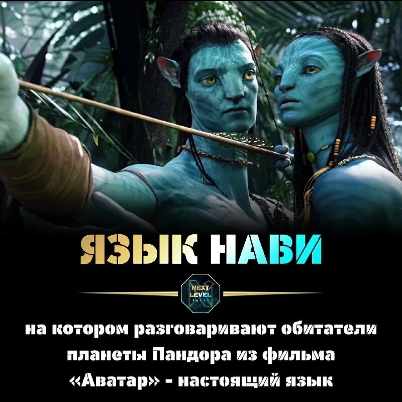 искусственный язык нави. алфавит нави из аватара. язык нави словарь. язык аватаров нави. на ви язык.