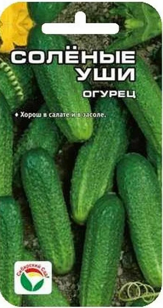 Огурцы соленые уши описание сорта фото отзывы фото