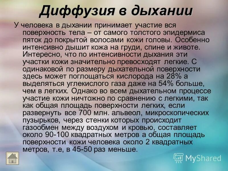 наиболее интенсивно дышат