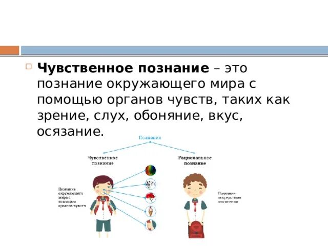 Форма познания с помощью органов чувств. Человек познает окружающий мир.