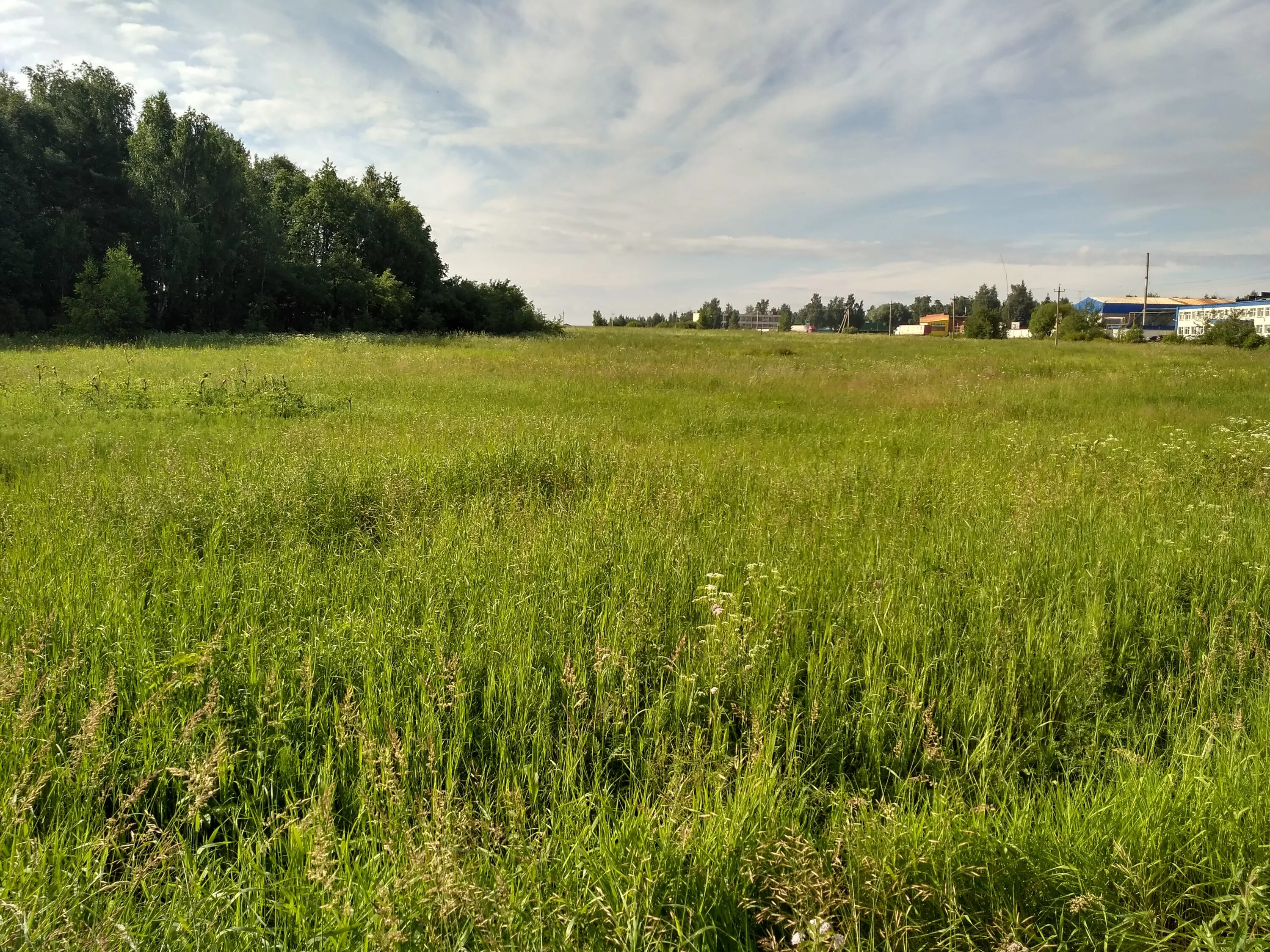 земли поселений сельхозназначения. земли поселений сельхозназначения. земельные ресурсы костромской области. ижс на землях сельхозназначения. земельные участки сельскохозяйственного назначения.