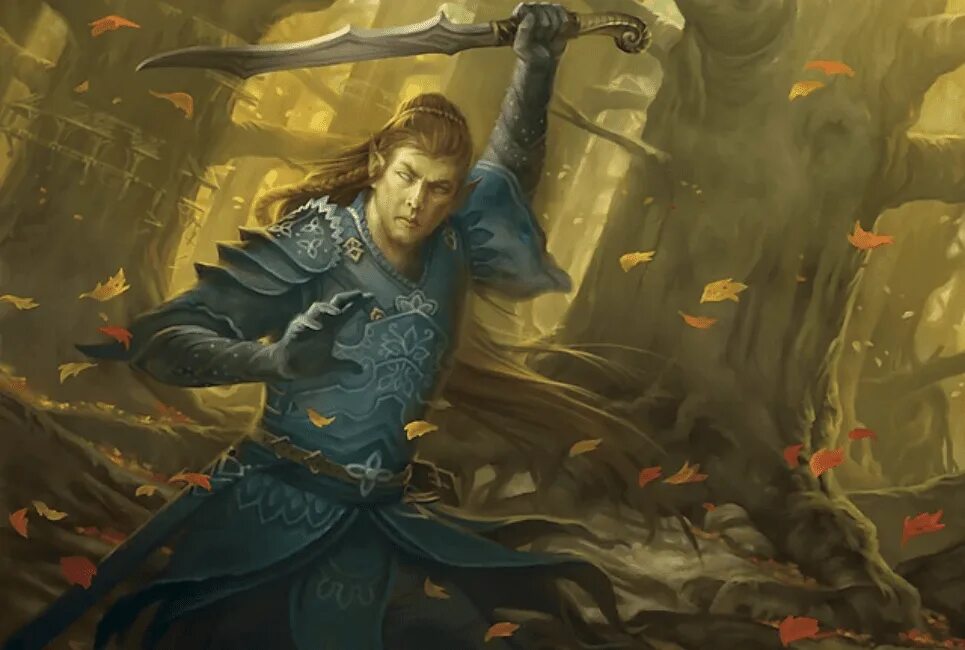 Guide wizard