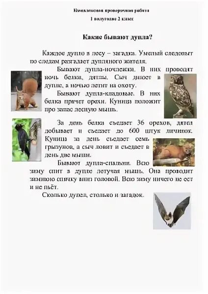 Комплексная контрольная работа 3 класс 1 полугодие. Комплексная проверочная работа 1 класс. комплексная проверочная работа 3 класс. интегрированная проверочная работа. комплексные проверочные задания 2 класс.