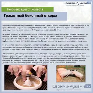 Можно ли поросятам давать свеклу