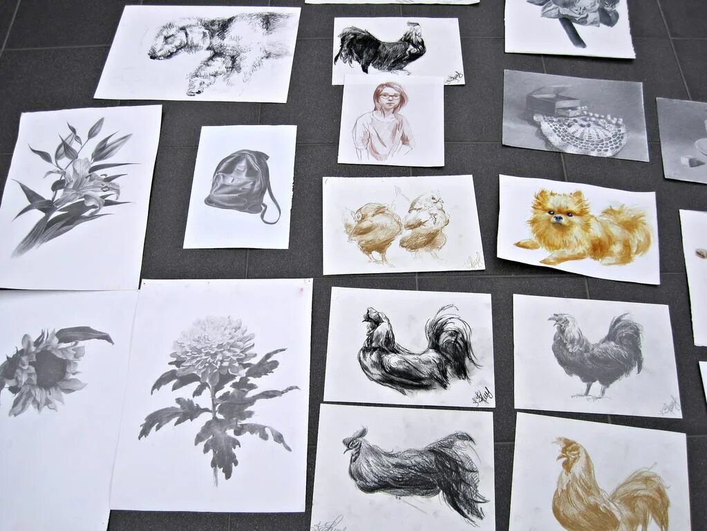 Академия акварели и изящных искусств сергея андрияки москва. Наброски академия андрияка. Академия акварели сергея андрияки. Елизавета андрияки. Академия акварели и изящных искусств сергея андрияки.