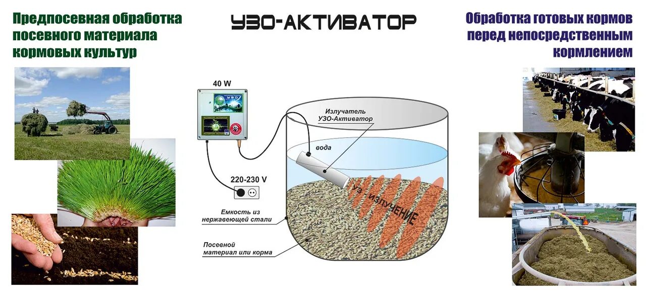 Обработка кормов. Способы обработки кормов. Производство кормов. Методы подготовки кормов к скармливанию.