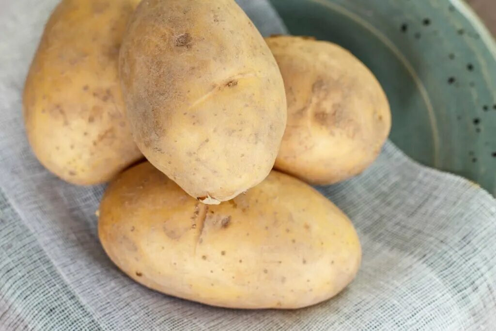 Картофель семенной великан/ суперэлита. Семенной картофель Пикассо. Картофель великан суперэлита. Волат картофель.