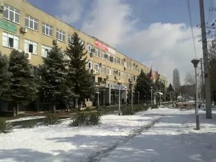 Краснодар колледж экономики