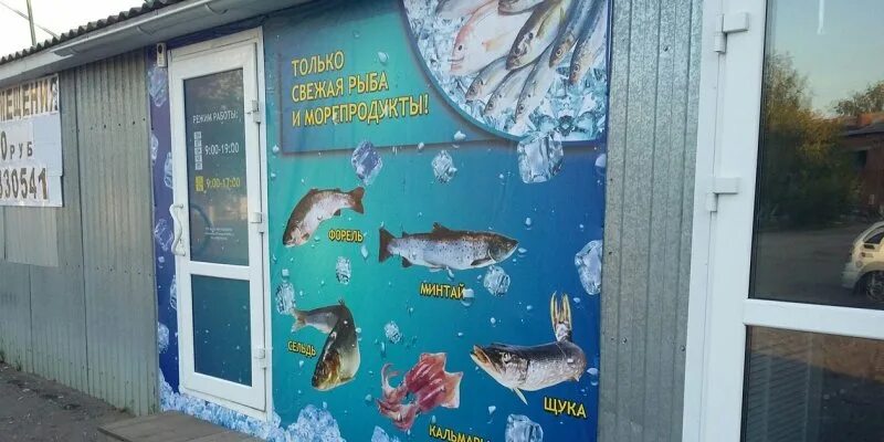 Купи рыбу сайт. Реклама рыбы для магазина. Рыба баннеры для магазинов. Баннер рыба. Баннер для рыбного магазина.