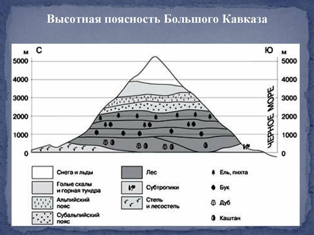 Природные зоны Кавказа Высотная поясность. Высотная поясность кавказских гор схема. Схема ВЫСОТНОЙ поясности гор Кавказа. Высотная поясность гор Кавказа. Площадь какого высотного пояса сокращается в хибинах