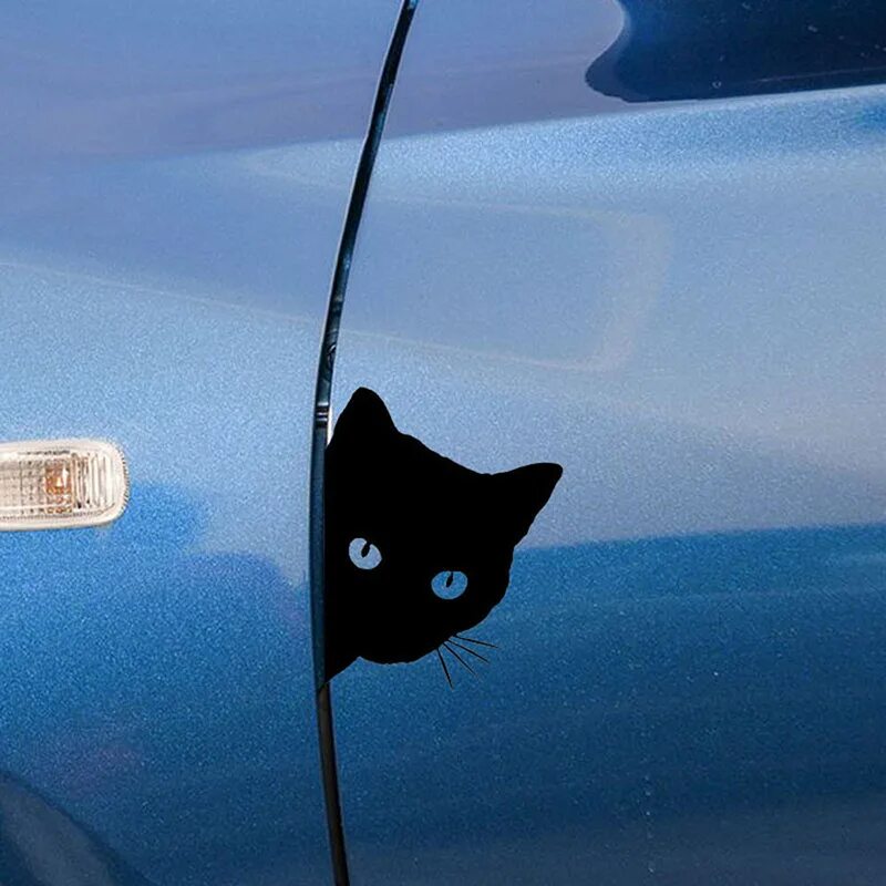 Black cat car