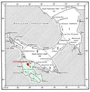 Золотого белого моря