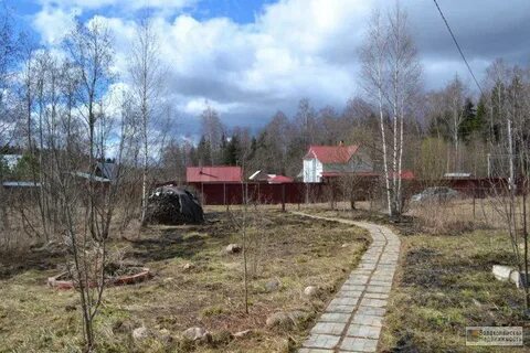 Ржищи шаховская