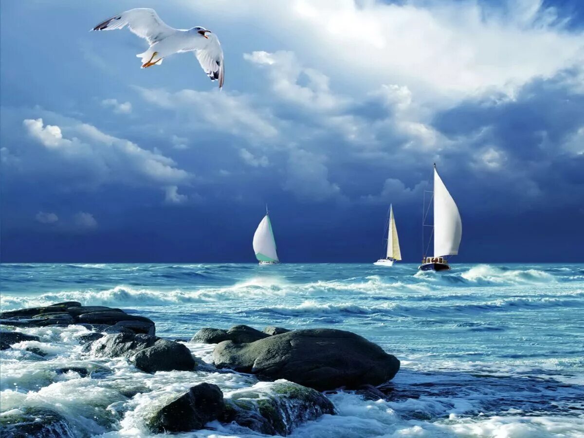 Море парус. Море парус. Лодка с парусом в море. Море парус. Спокойное море.