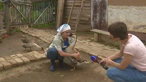 Блоггер деревенская жизнь у дороги