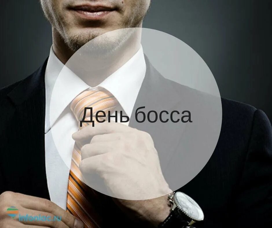 Духи арабские pheromon масляные 10 мл. Pheromon духи масляные женские memo paris, 10 мл. Кошелек хуго босс. Коробка хьюго босс. Кошелек хуго босс мужской.