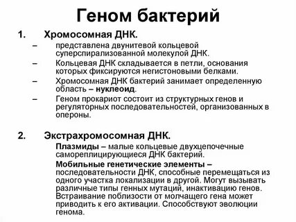Наследственный материал бактерий представлен