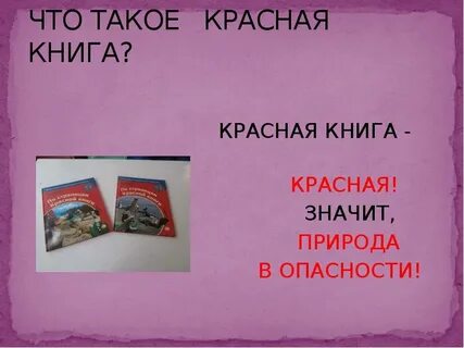 Что такое красная книга 5 класс