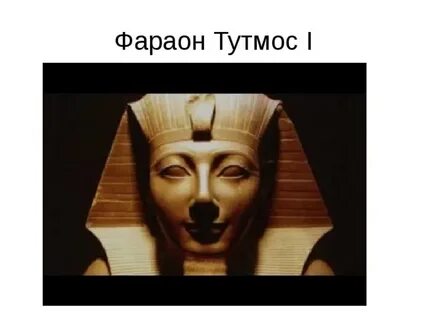В каком году правил тутмос
