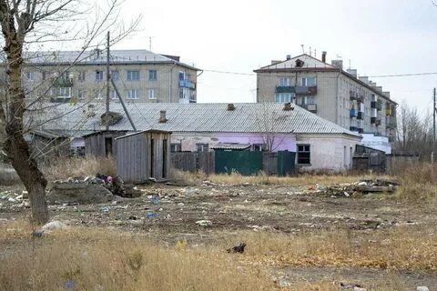 Под чита