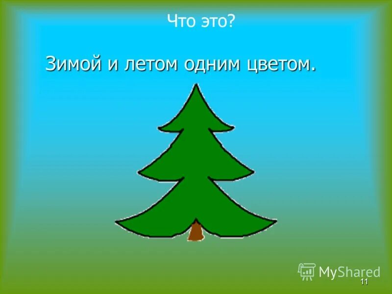 Как пишется елочки. Зимой и летом одним цветок. Зимой и летом одним цветом. Зимой и летом одним цветом загадка. Загонка зимой и летом одним цветом.