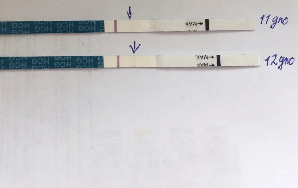 Слабоположительный тест форум. Слабоположительный тест на беременность. Слабоположительные тесты на беременность после задержки. Тест на беременность аттест слабоположительный. Слабоположительный тест на беременность 3 день задержки.