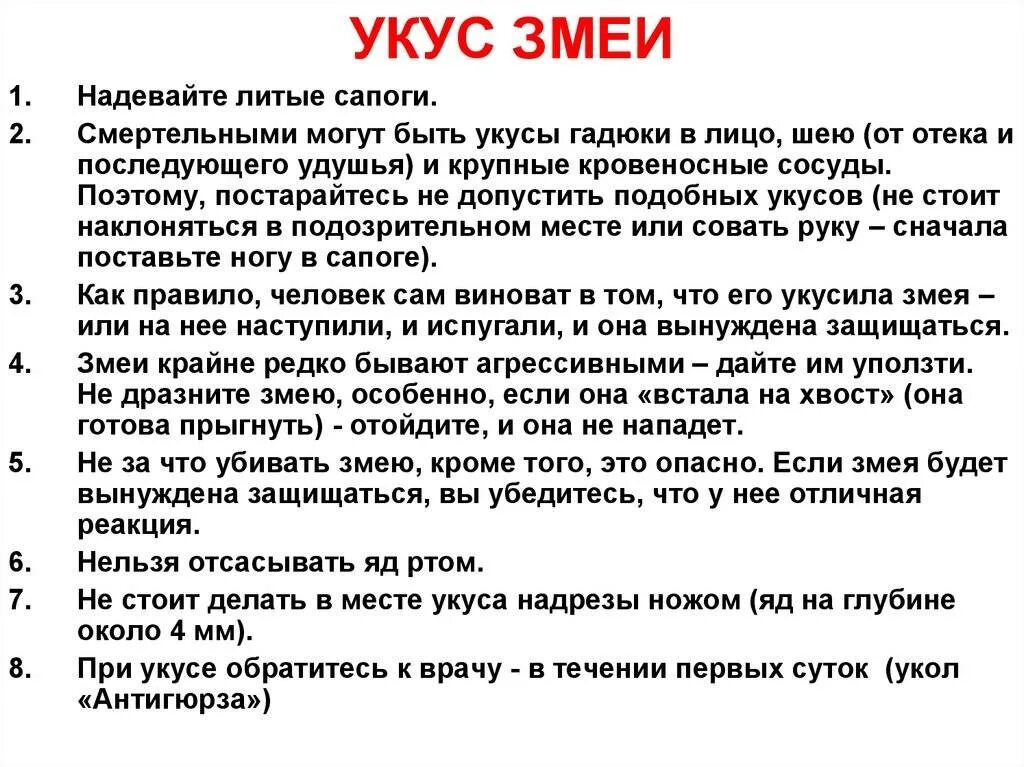 Нельзя делать при укусе. Что делать если укусила змея. Что делать при укусе змеи гадюки. Памятка если вас укусила змея.