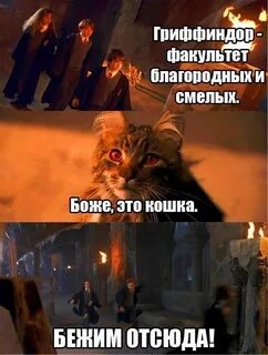 Проблемы факультетов